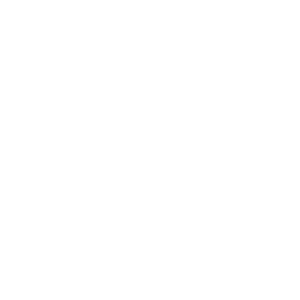 TFS logo